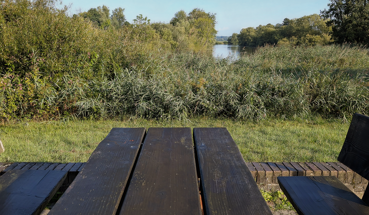 Wild Swimming Spots Along Quiet British Rivers